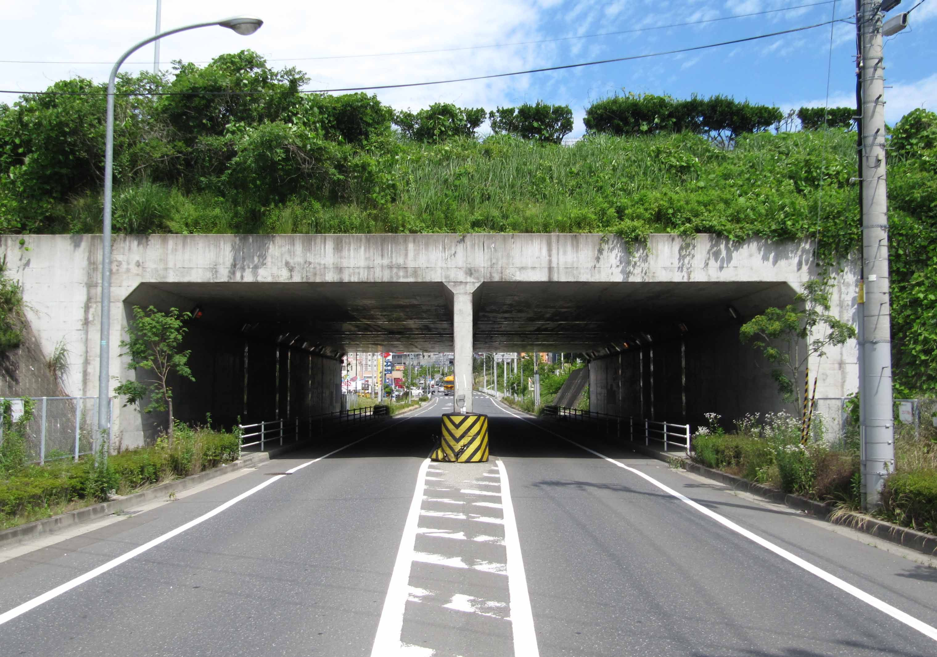 機能不全に陥った治療薬